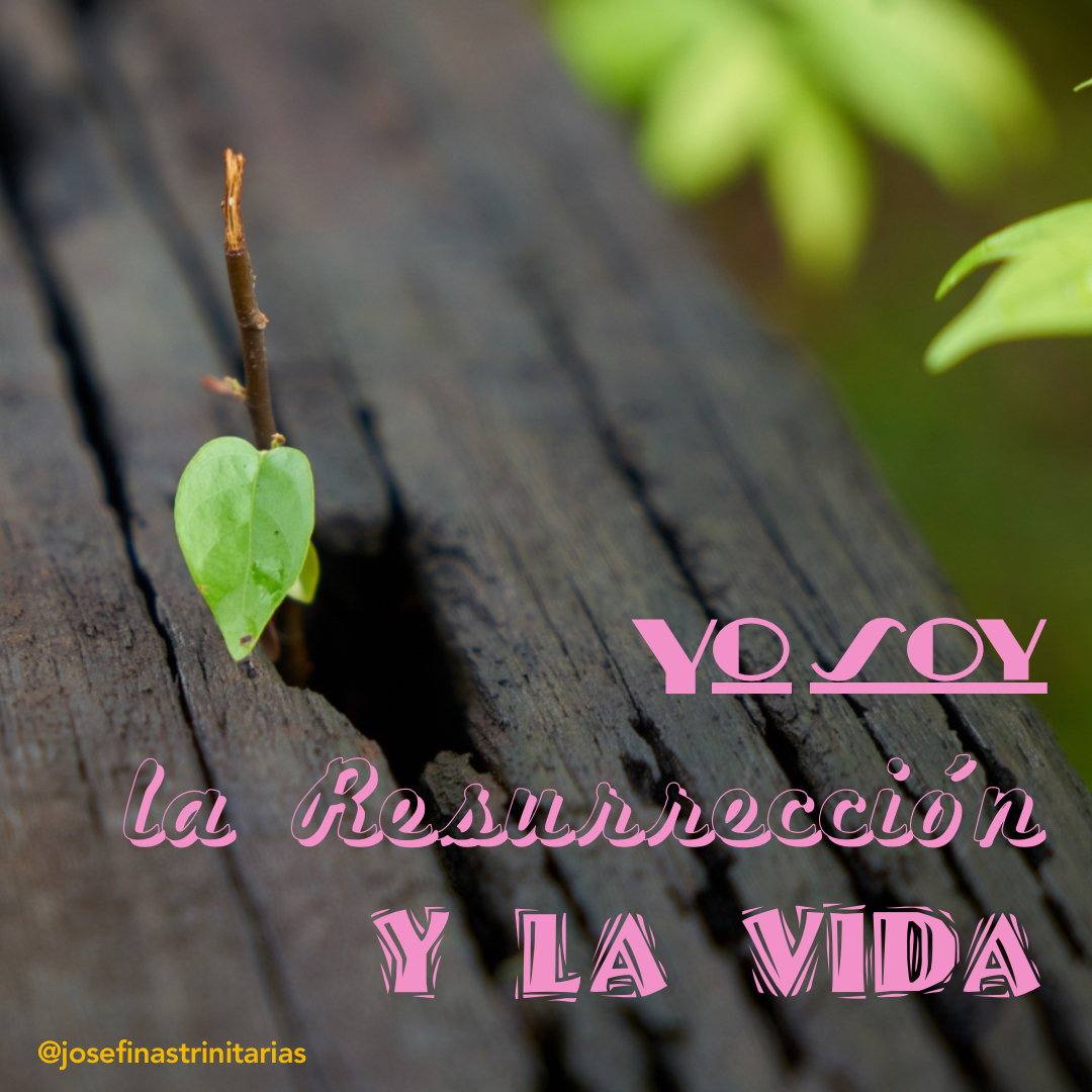 yo soy la resurrección y la vida-fieles difuntos